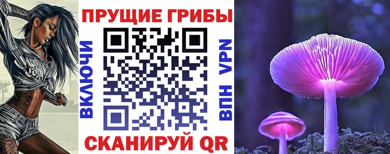 Галлюциногенные грибы Psilocybe  blacksprut tor  Фокино 